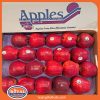 Táo Red Delicious Mỹ