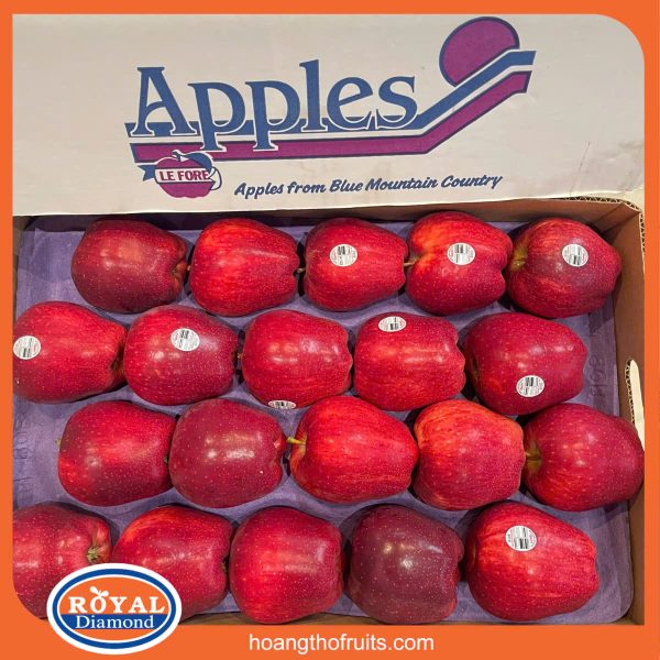 Táo Red Delicious Mỹ