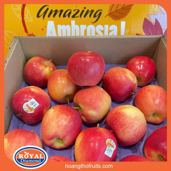 Táo Ambrosia Mỹ