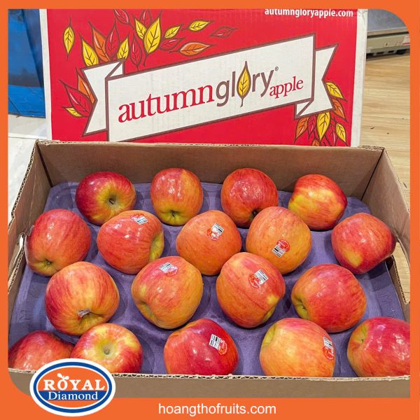Táo Autumn Glory Mỹ Size 72