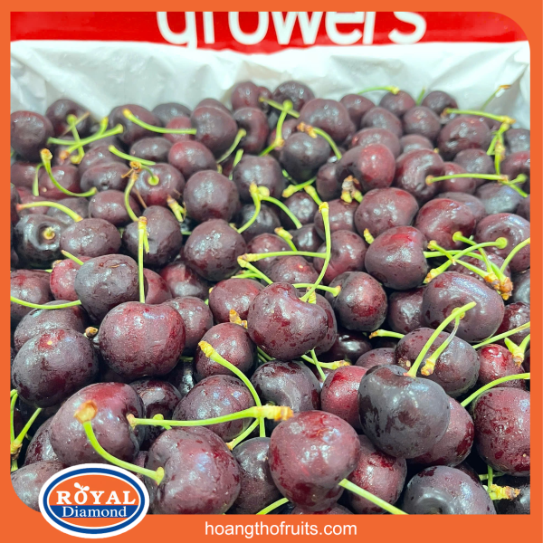 Alternative view of Cherry mỹ Superfresh Growers - Chủng Bing