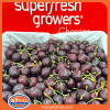 Superfresh Growers 美国樱桃 - Bing 品种