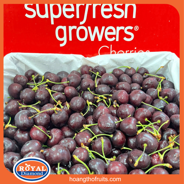 Cherry mỹ Superfresh Growers - Chủng Bing
