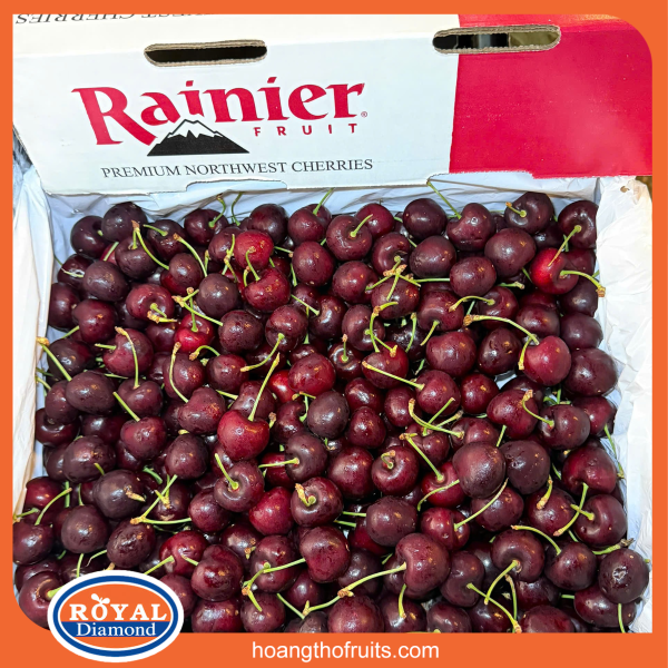 Cherry Mỹ Rainier - Chủng Skeena