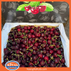Cherry mỹ Rainier - Chủng Skeena