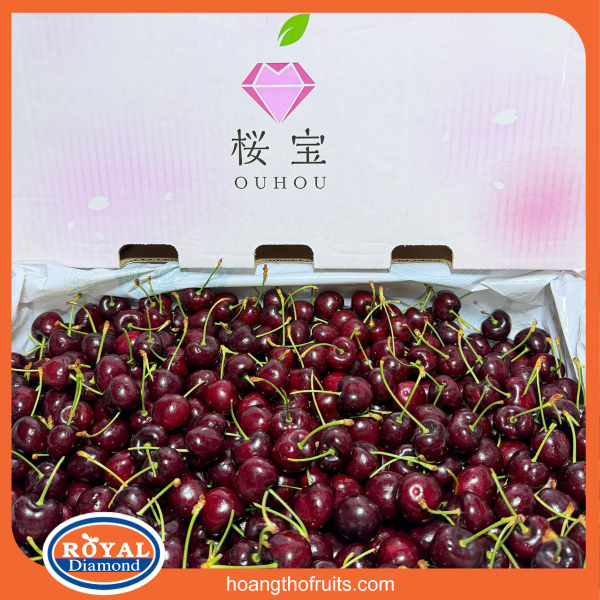 Cherry mỹ - Chủng Skeena